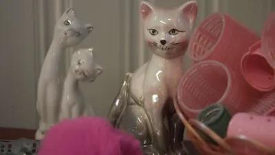 Crazy Cat Lady poster1