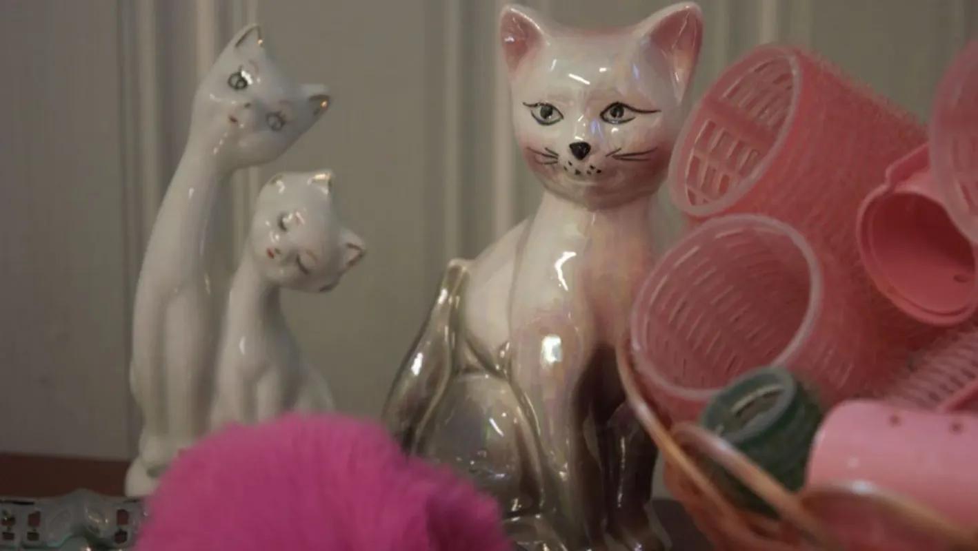 Crazy Cat Lady